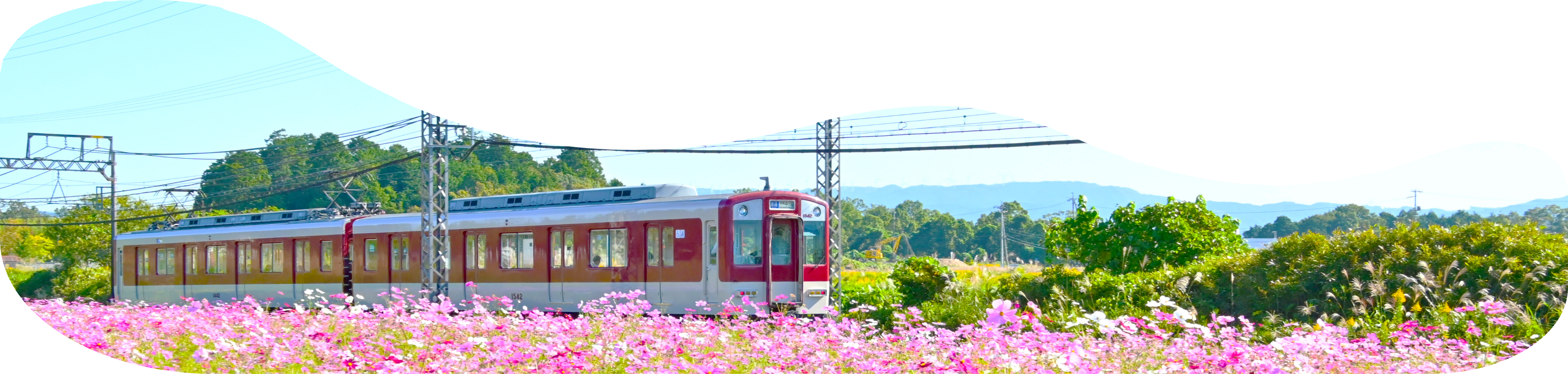 ページタイトルイメージ